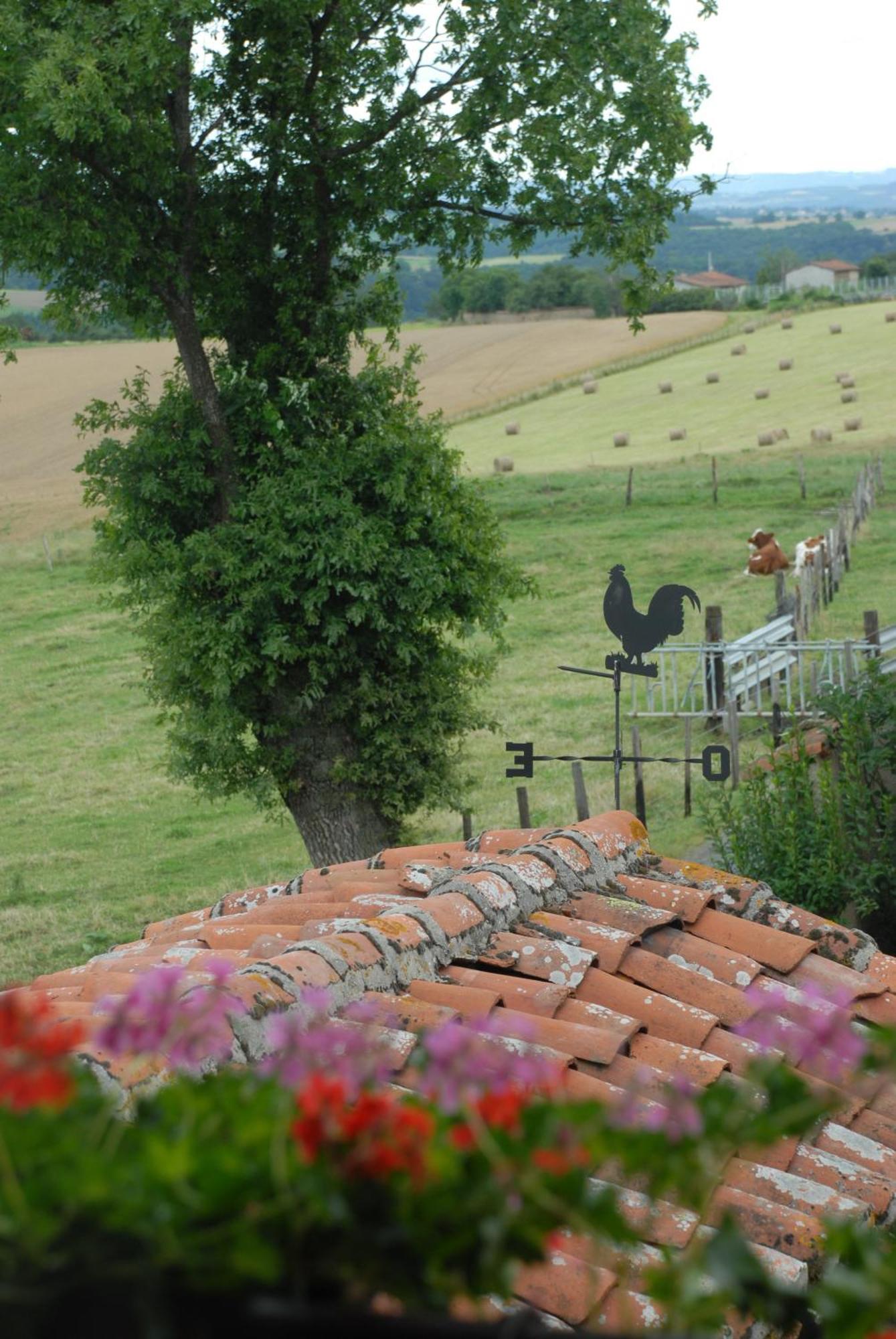 Chez Jacotte Et Elia Bed and Breakfast Saint-Galmier Exteriör bild