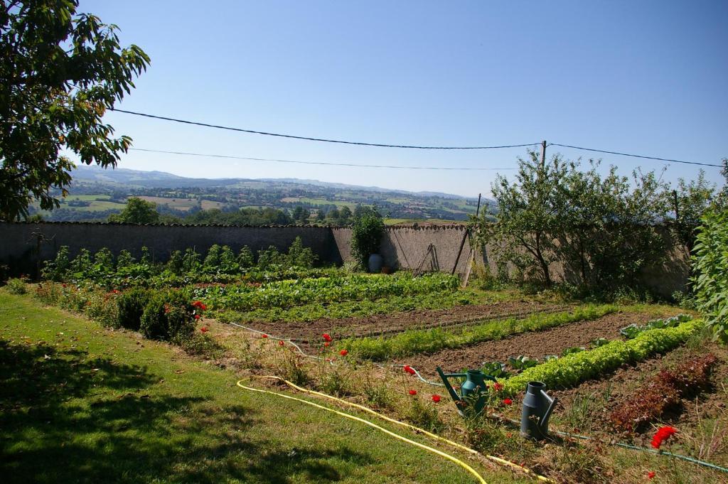 Chez Jacotte Et Elia Bed and Breakfast Saint-Galmier Exteriör bild