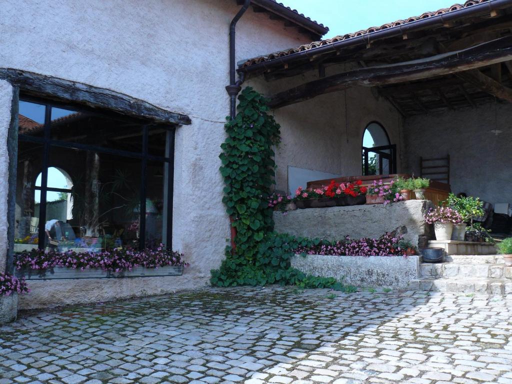 Chez Jacotte Et Elia Bed and Breakfast Saint-Galmier Exteriör bild