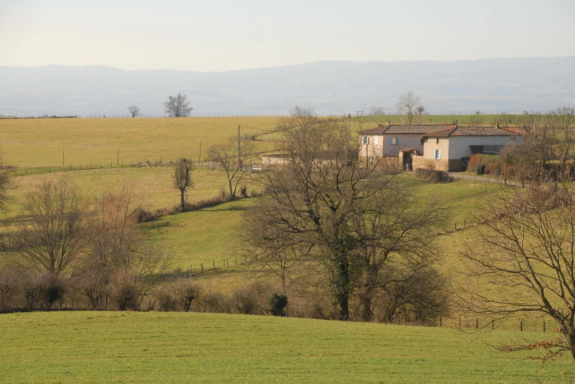 Chez Jacotte Et Elia Bed and Breakfast Saint-Galmier Exteriör bild